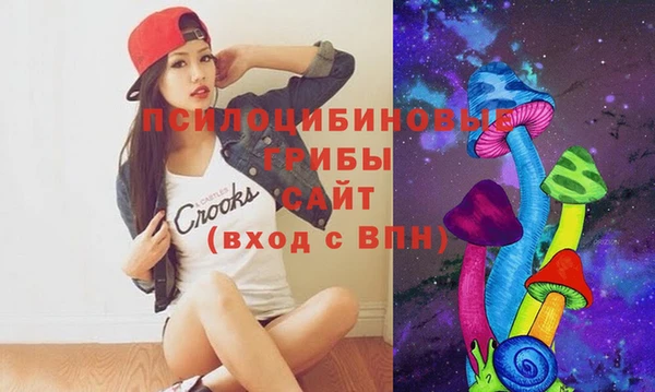 стаф Навашино
