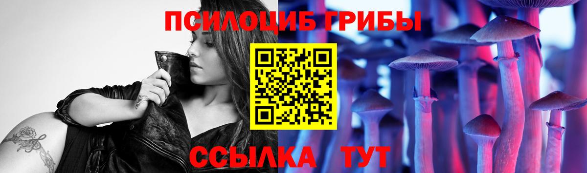 Татарск  Галлюциногенные грибы прущие грибы  Вход с VPN  Псилоцибиновые грибы GOLDEN TEACHER 